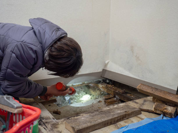 Best Mold Documentation for Insurance Claims  in Ridgeland, MS
