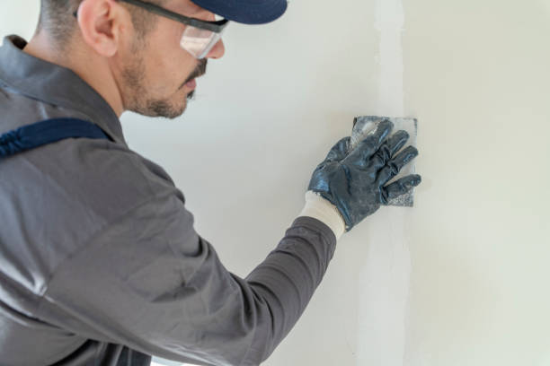 Best Post-Remediation Verification Testing  in Ridgeland, MS
