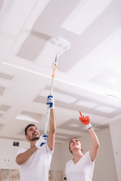  Ridgeland, MS Mold Removal Pros