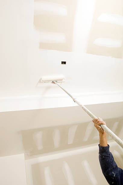 Best Mold Odor Removal Services  in Ridgeland, MS