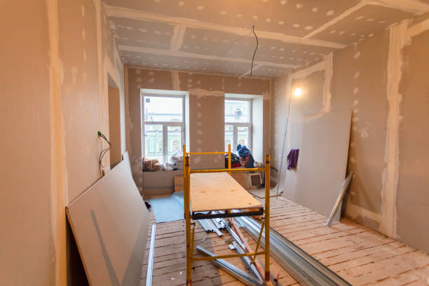 Best Basement Mold Removal  in Ridgeland, MS